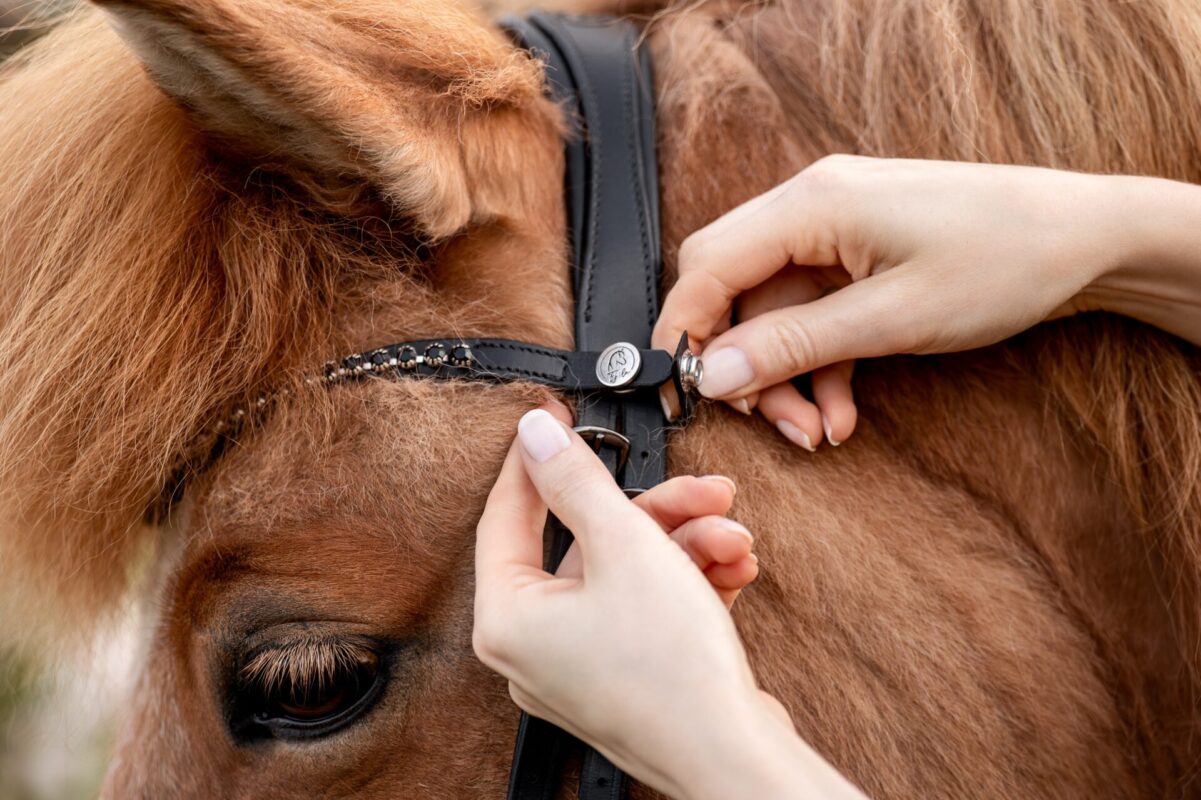 anatomische Trensen mit Druckknopfverschluss