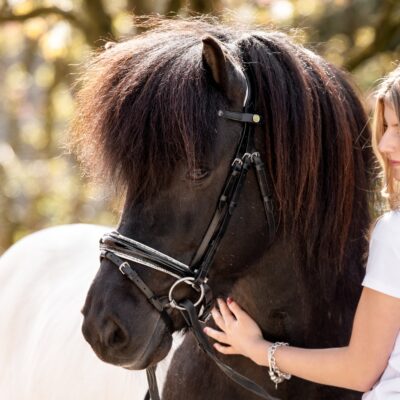 Anatomische Trense silber-weiß