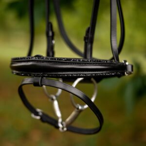 Alternative view of Anatomische Trense Hekla, schwarz