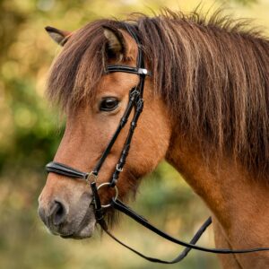 Hannoveranische Trense Saga