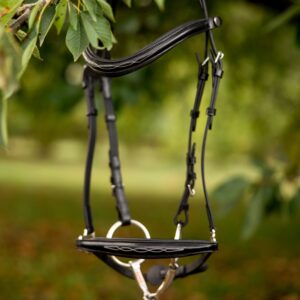 Fjola hannoveranische Trense mit Stickung 11zu1