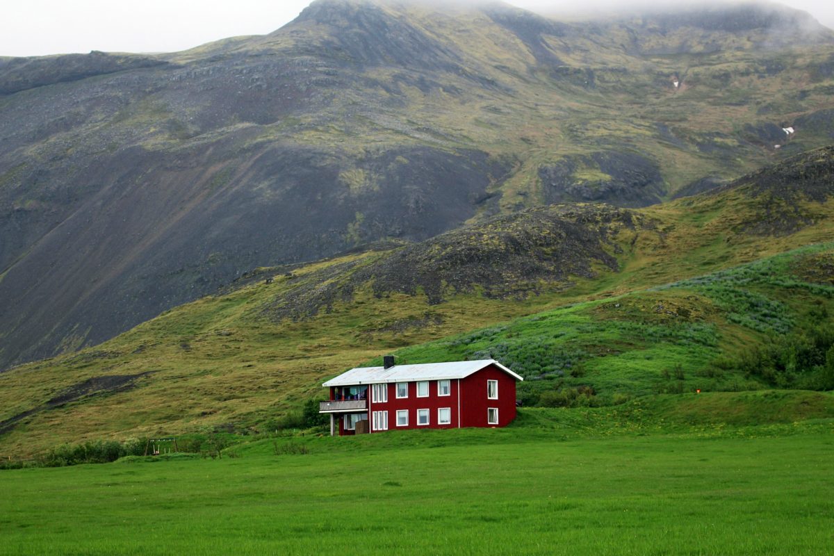 Epona Stori-Kambur, Iceland , Islandpferdezubehör