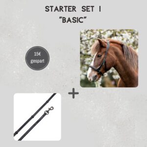 Starter Set 1 Basic