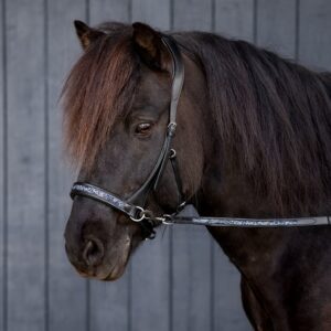 Fjola, gebisslose Trense, Sidepull, silber-blau